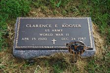 Gravesite Picture